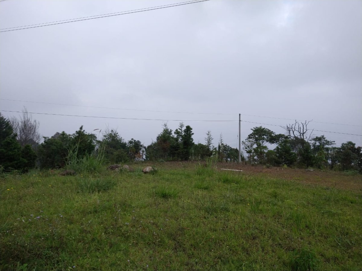 Lote - Foto 7