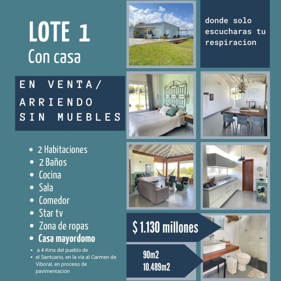 Lote - Foto 7