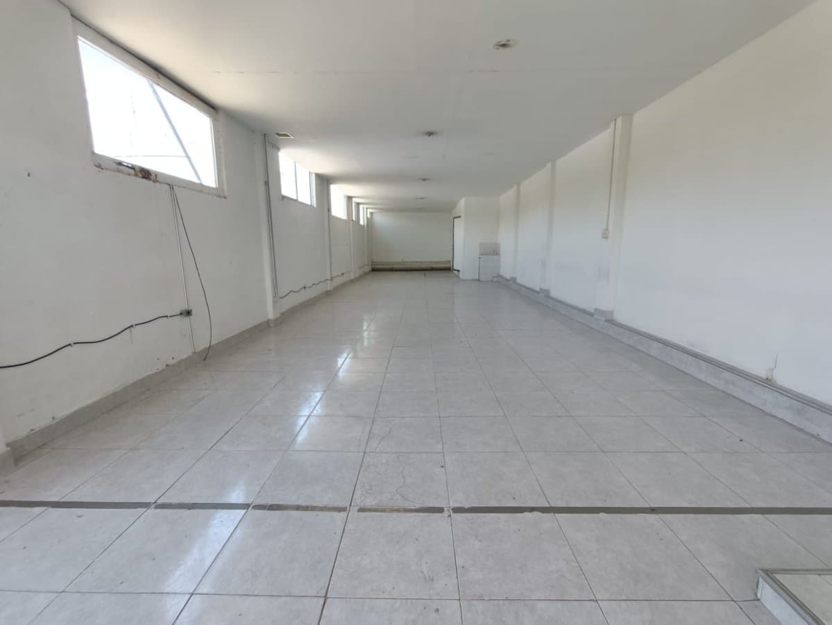 Bodega - Foto 3