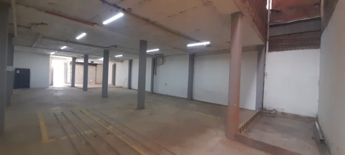 Bodega - Foto 4