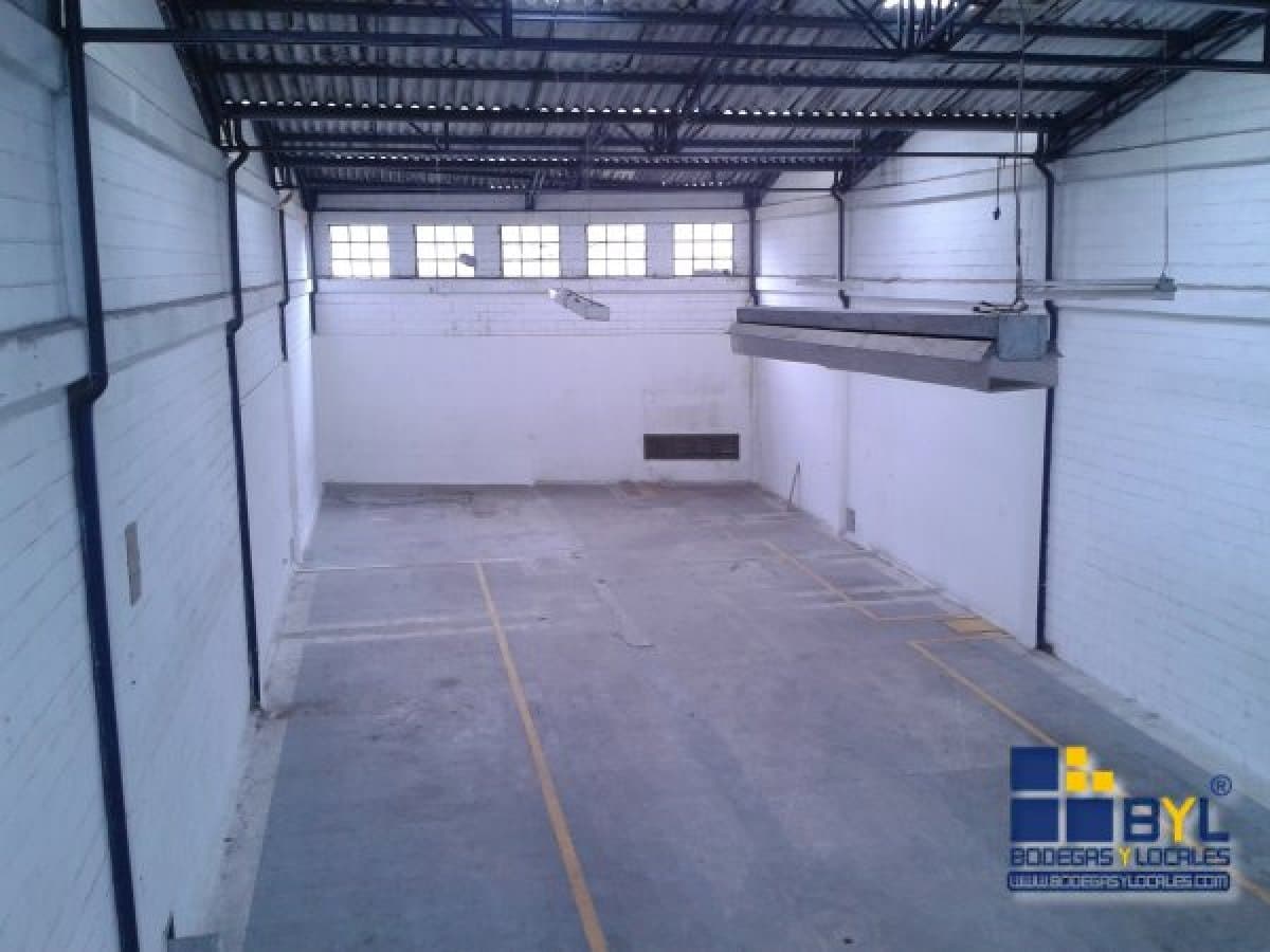 Bodega - Foto 12