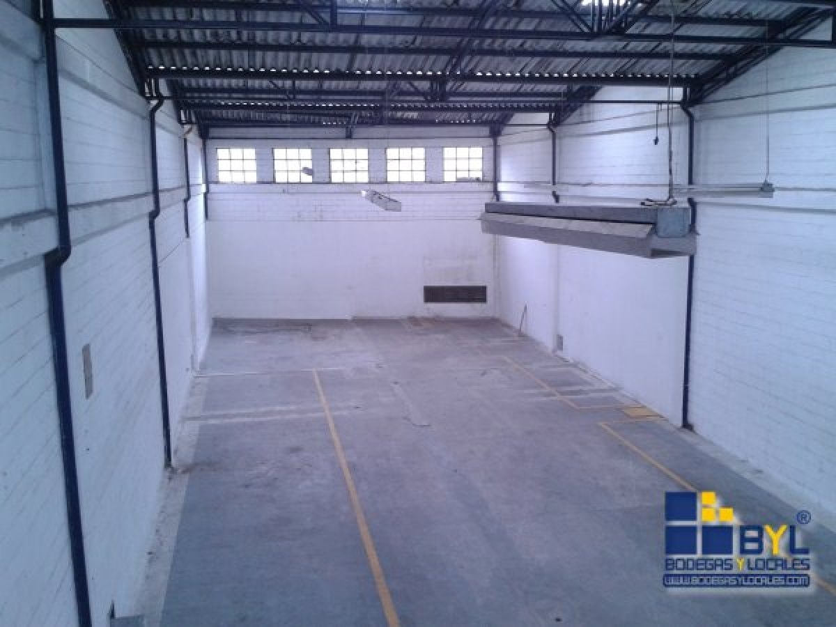 Bodega - Foto 12