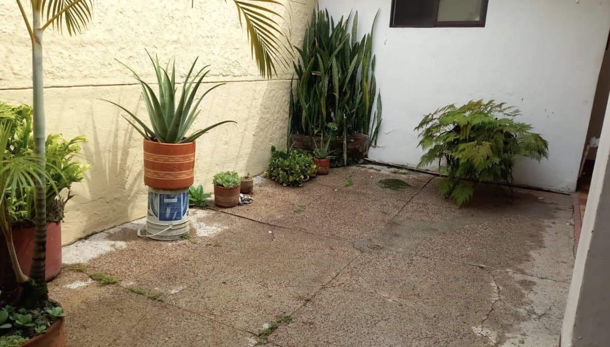 Lote - Foto 2