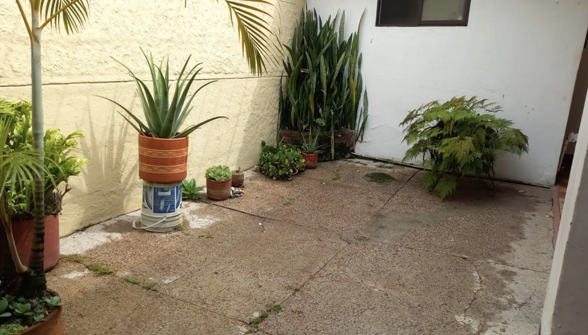 Lote - Foto 2