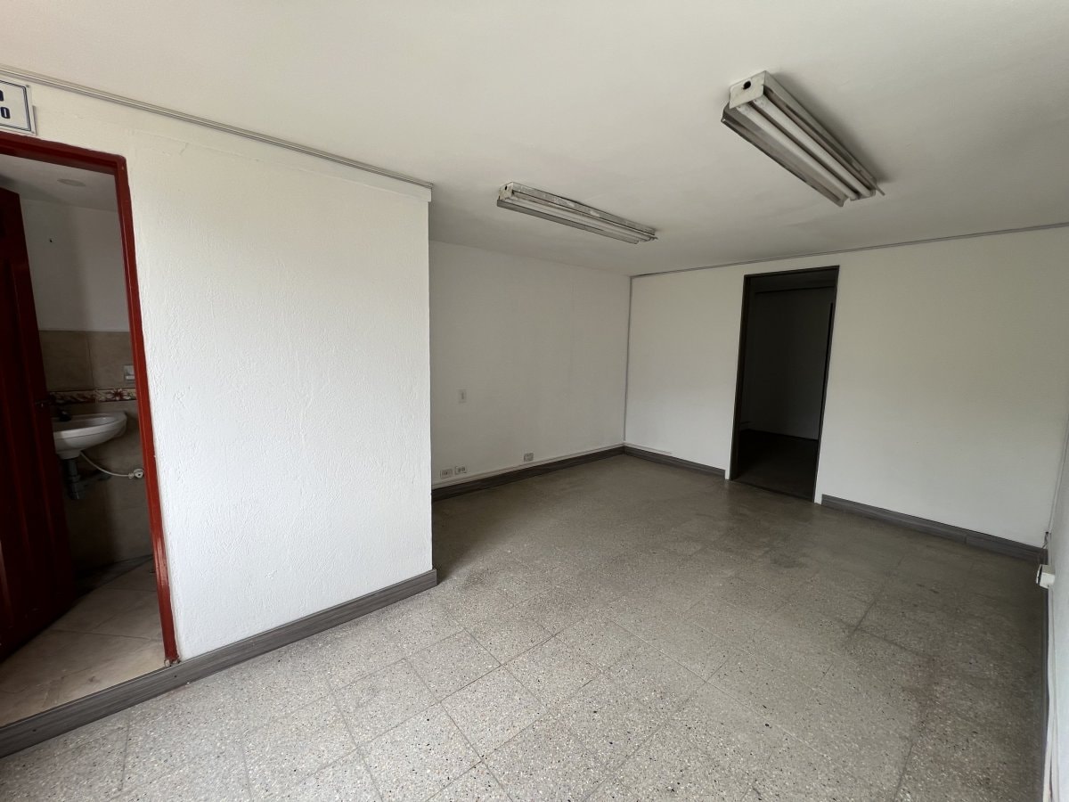 Bodega - Foto 4