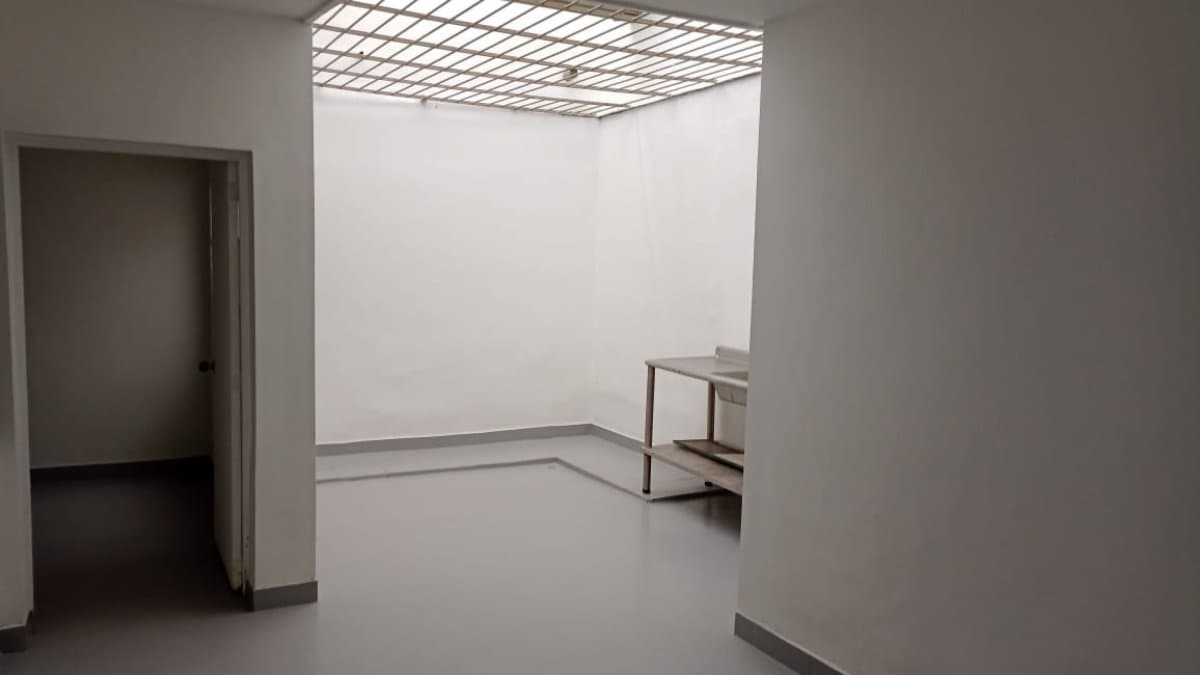 Bodega - Foto 4