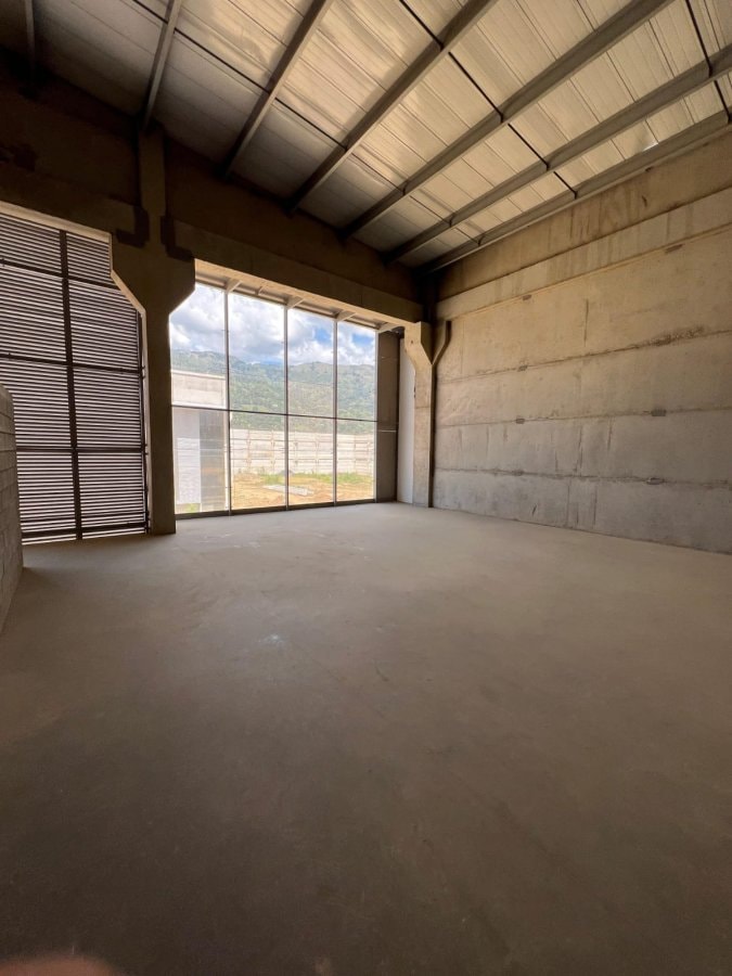 Bodega - Foto 1