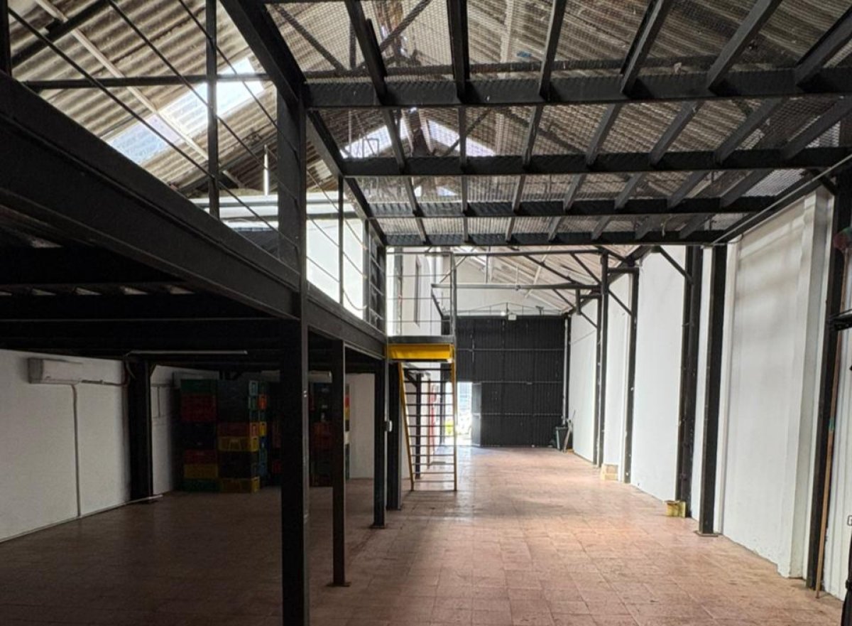 Bodega - Foto 6