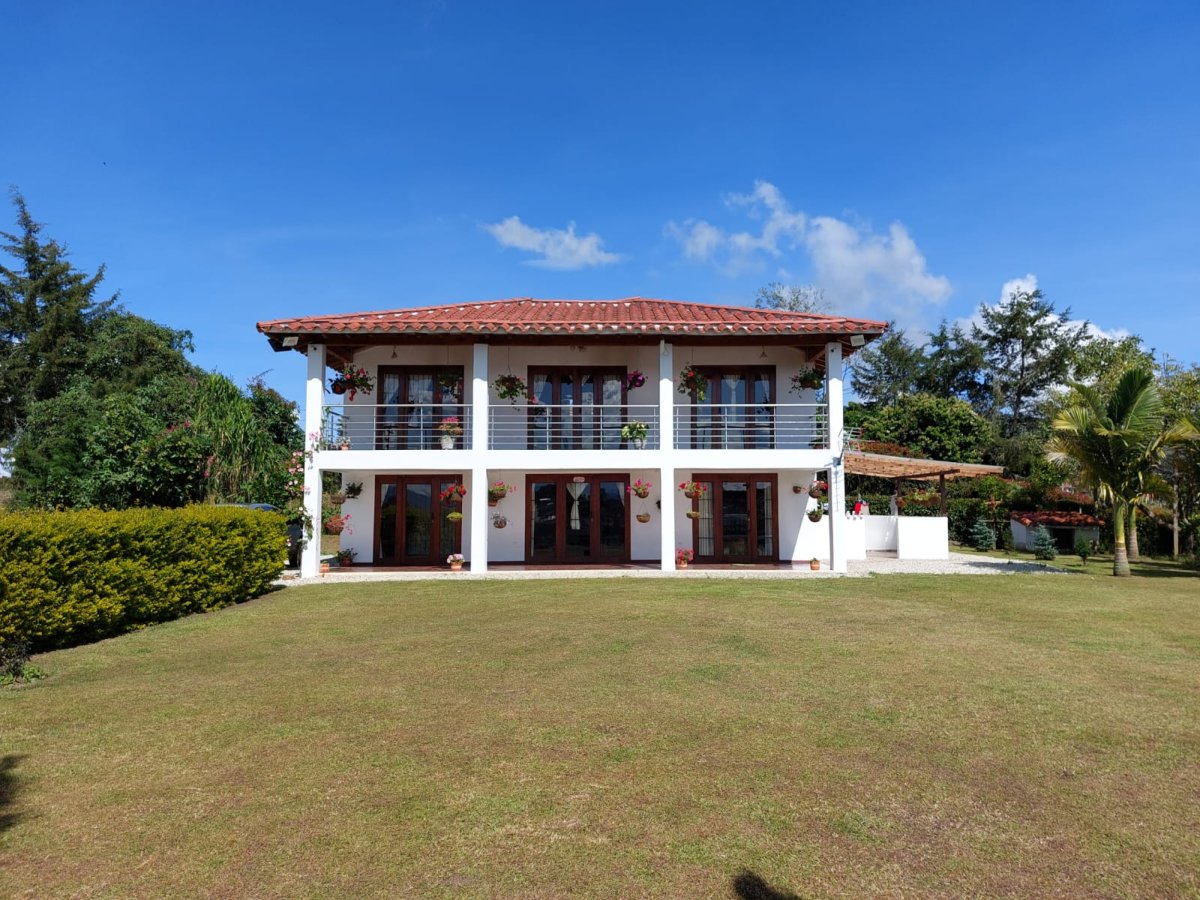 Lote - Foto 9