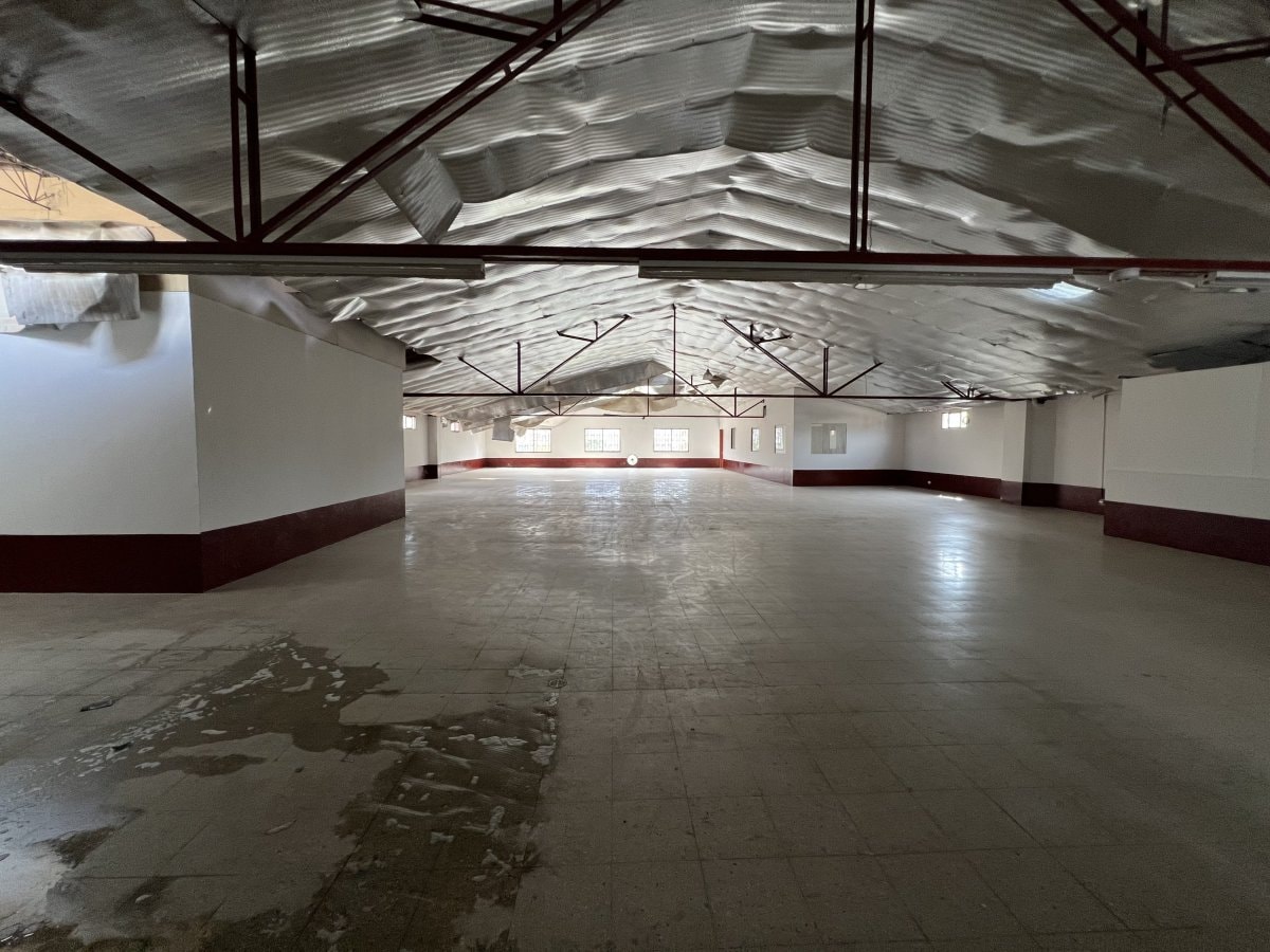 Bodega - Foto 10