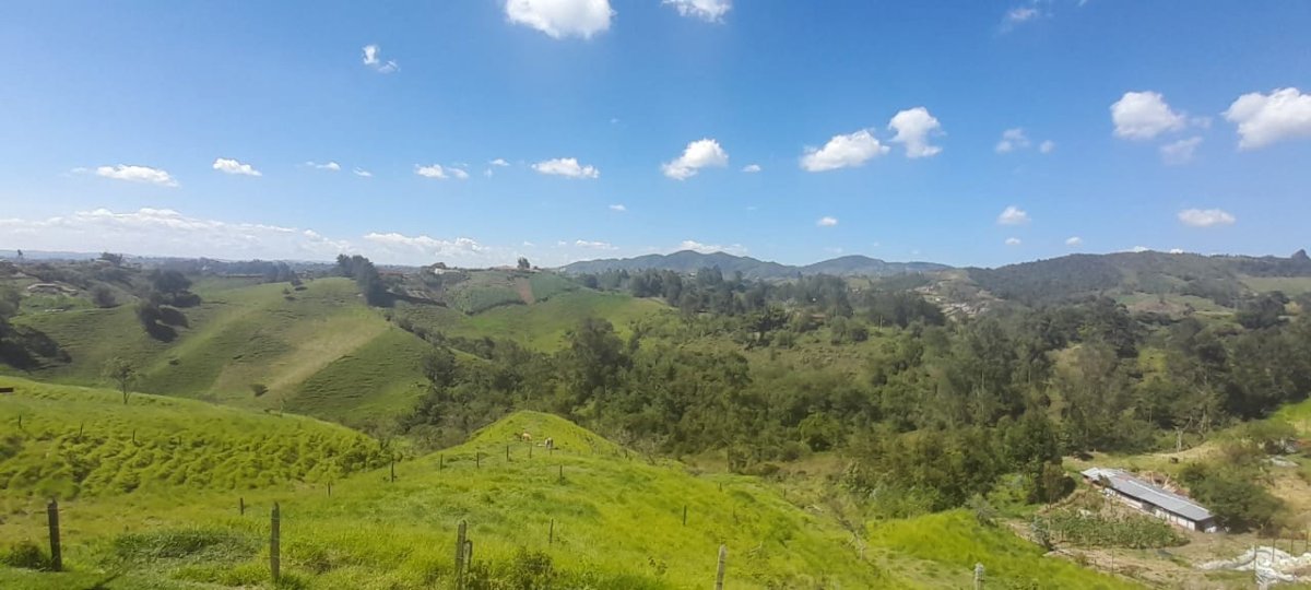 Lote - Foto 8