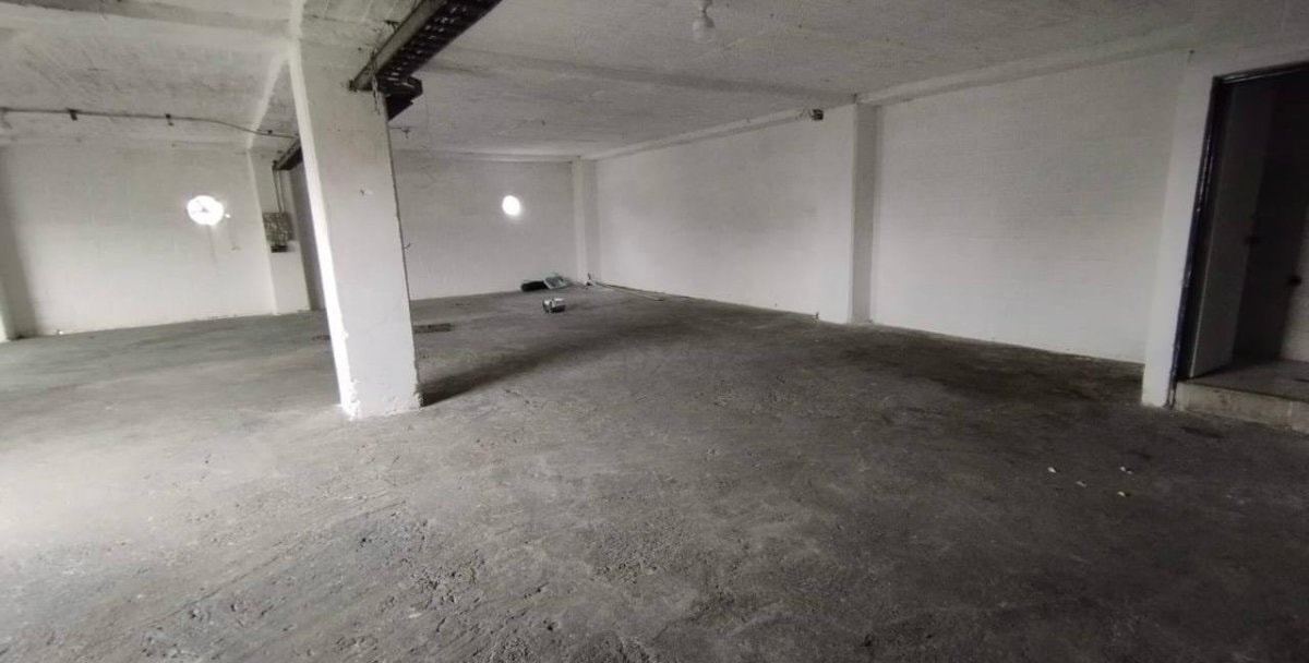 Bodega - Foto 5