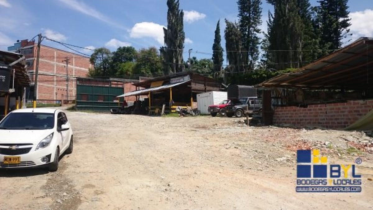Lote - Foto 6