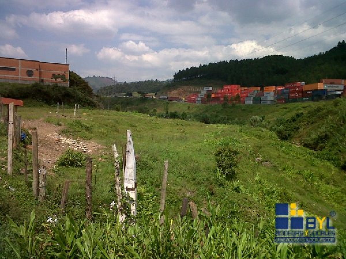 LOTE