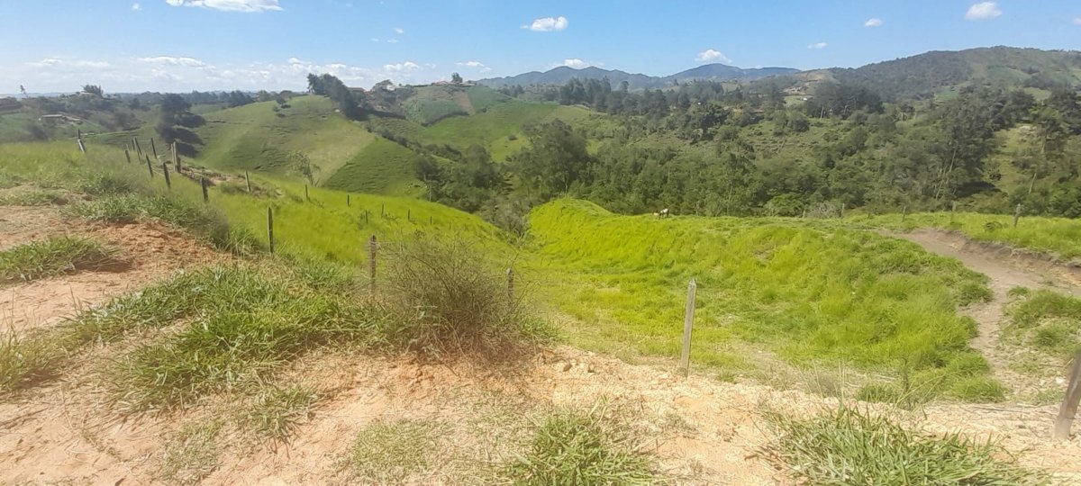Lote - Foto 21