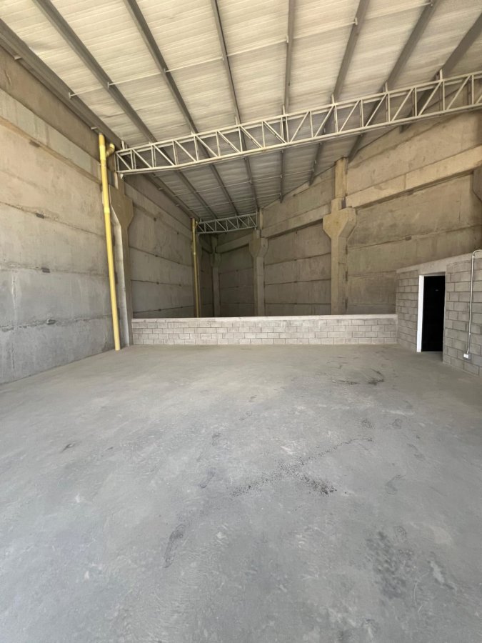 Bodega - Foto 5