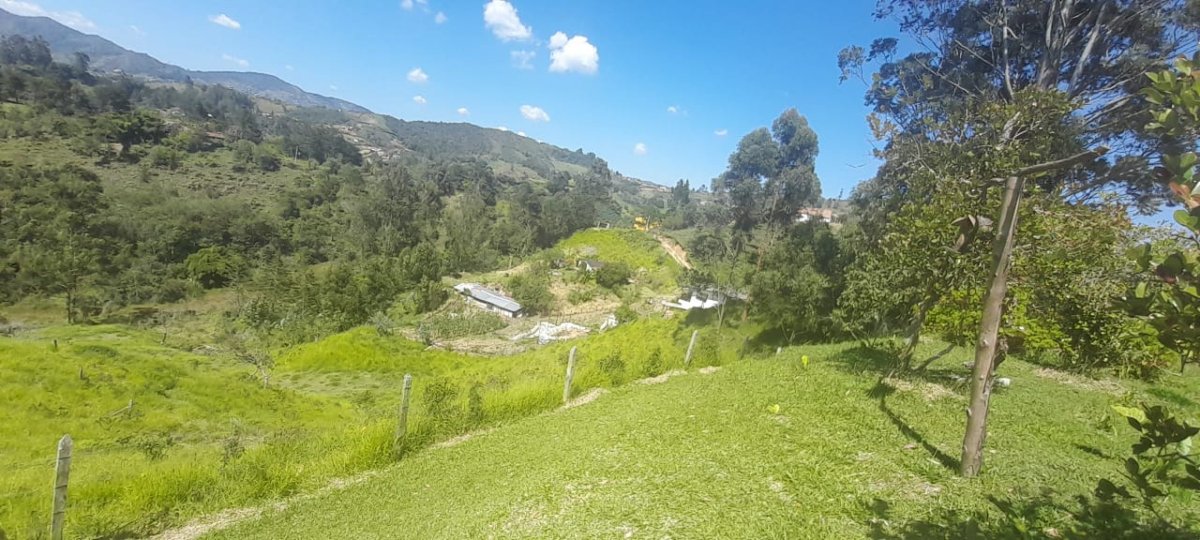 Lote - Foto 9
