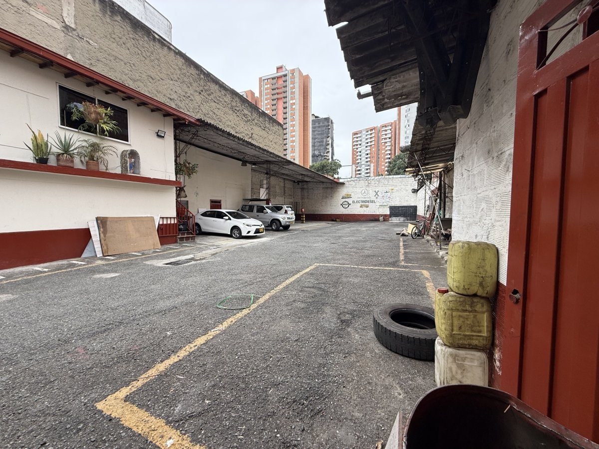 Bodega - Foto 4