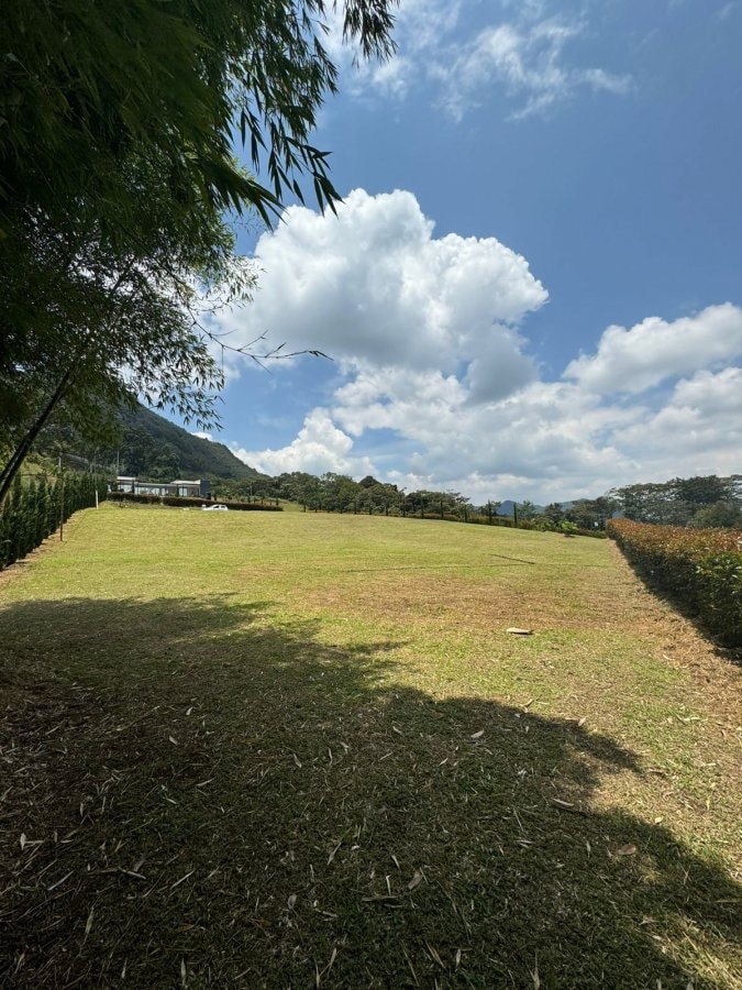Lote - Foto 4