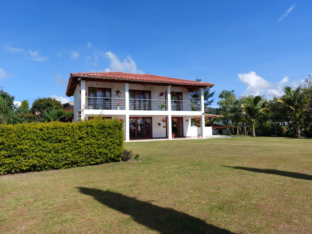 Lote - Foto 11