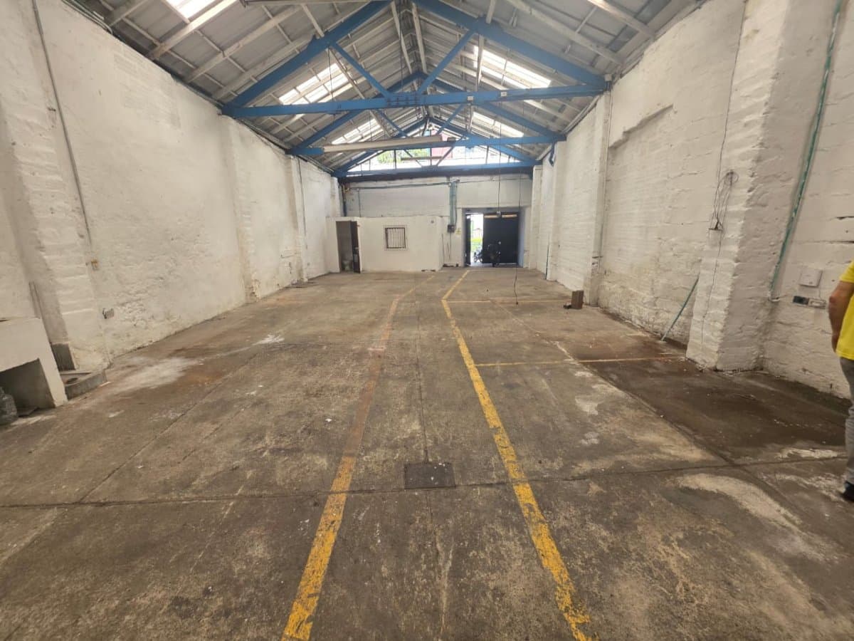 Bodega - Foto 10