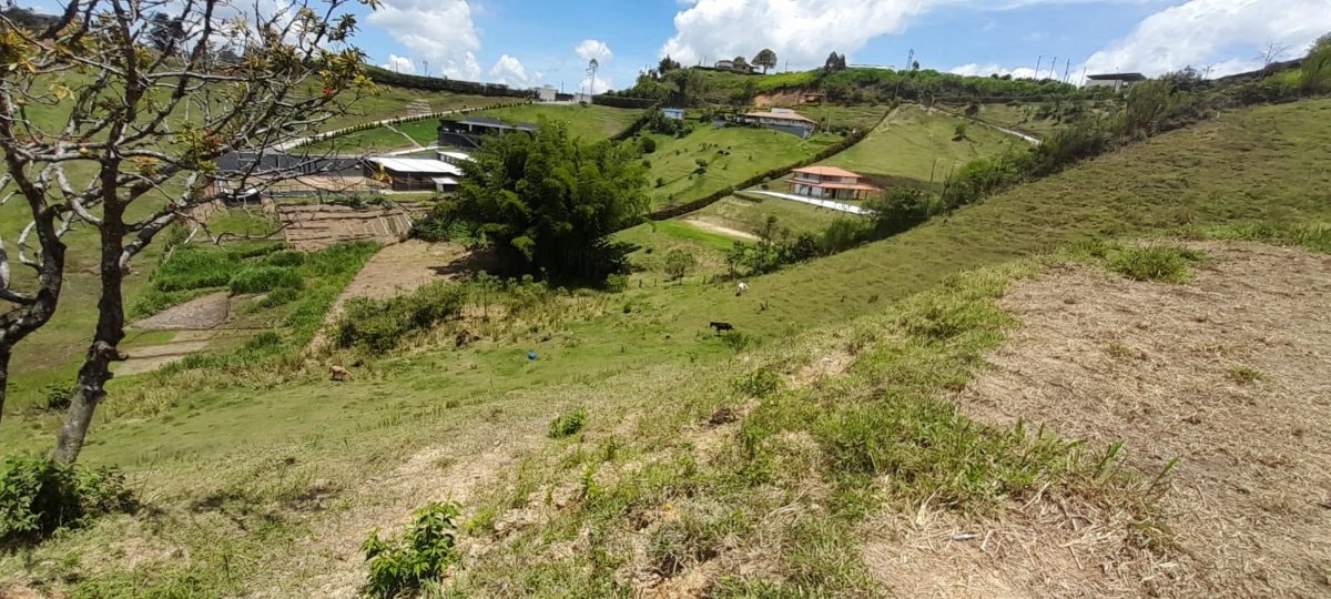 Lote - Foto 3