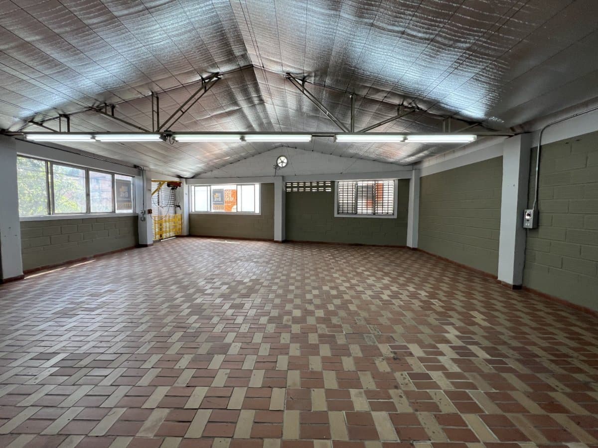 Bodega - Foto 4