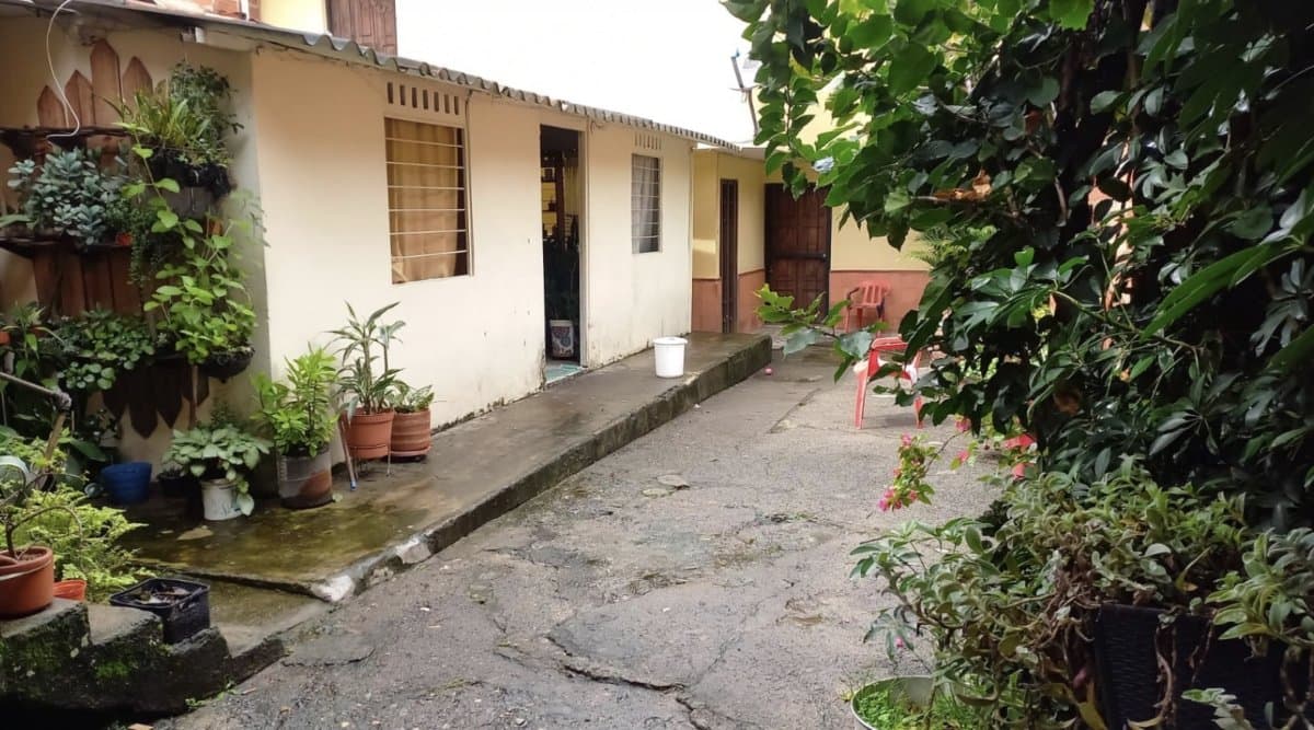 Lote - Foto 4