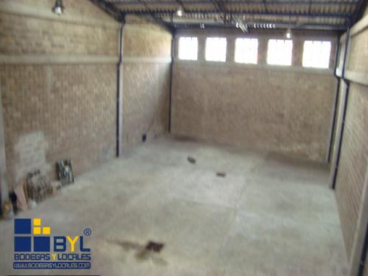 Bodega - Foto 2
