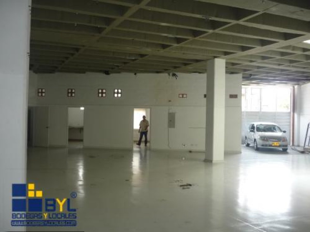Bodega - Foto 3