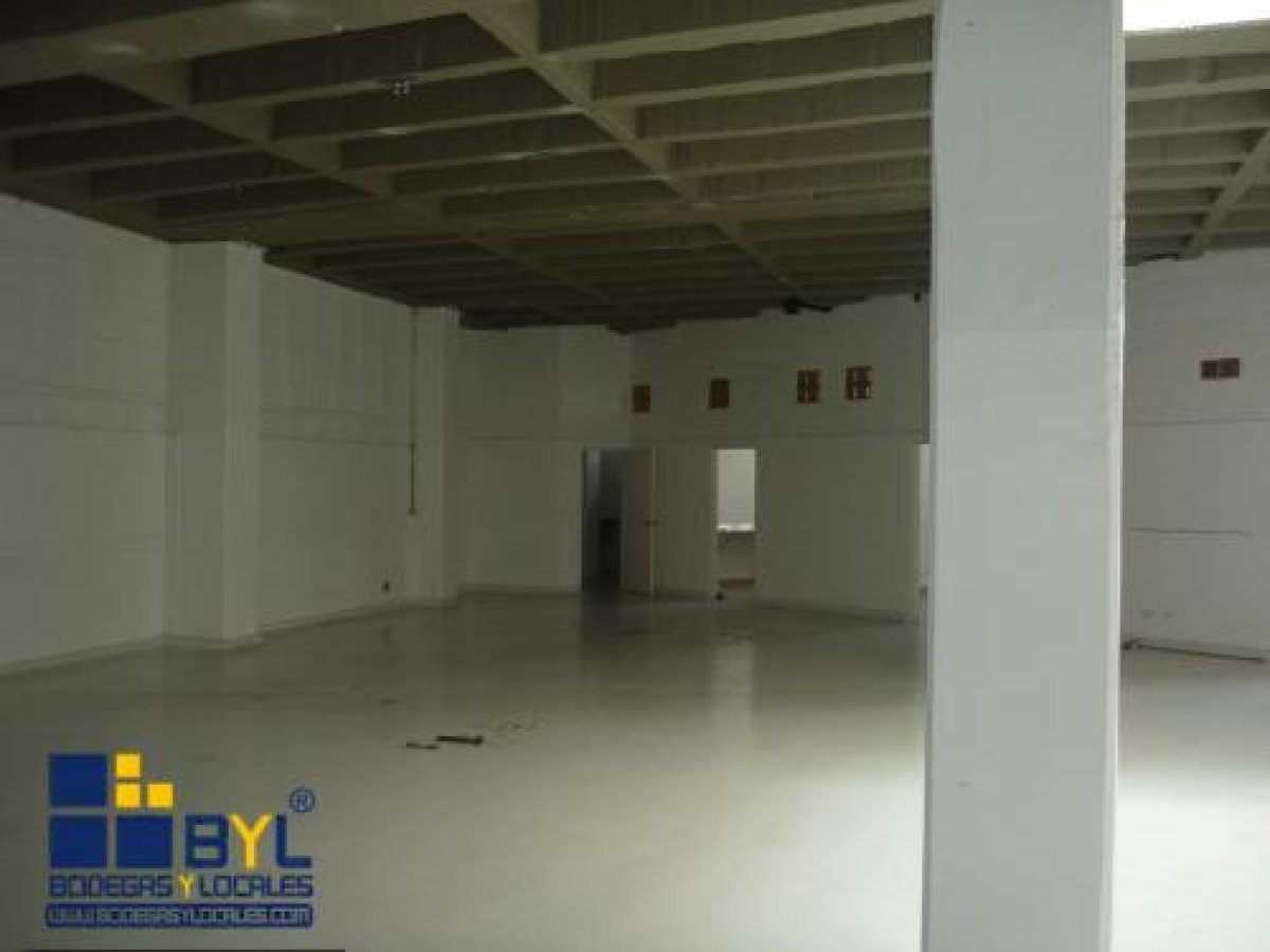Bodega - Foto 6