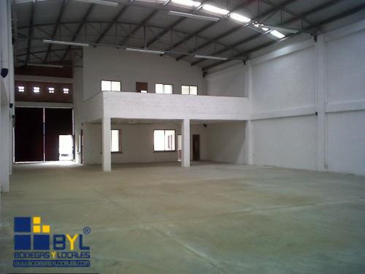 Bodega - Foto 4