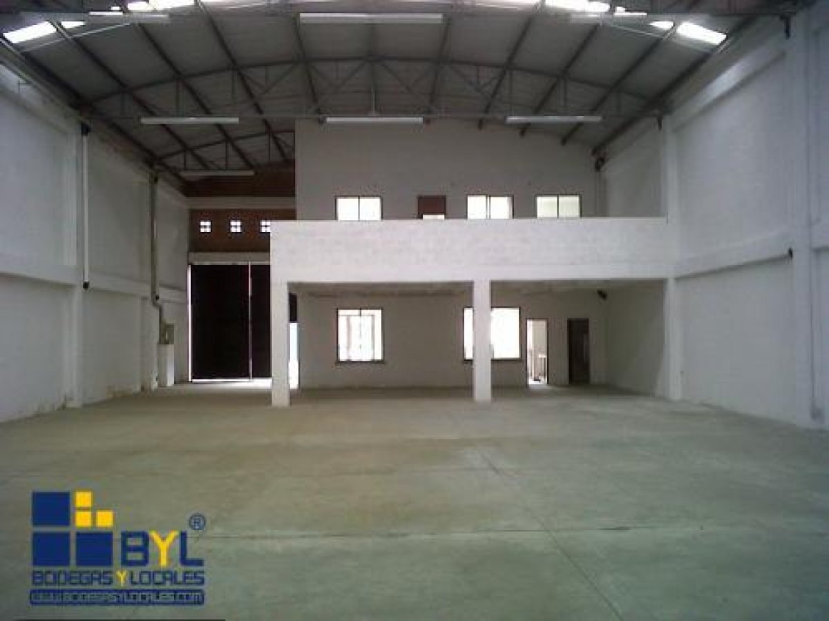 Bodega - Foto 5