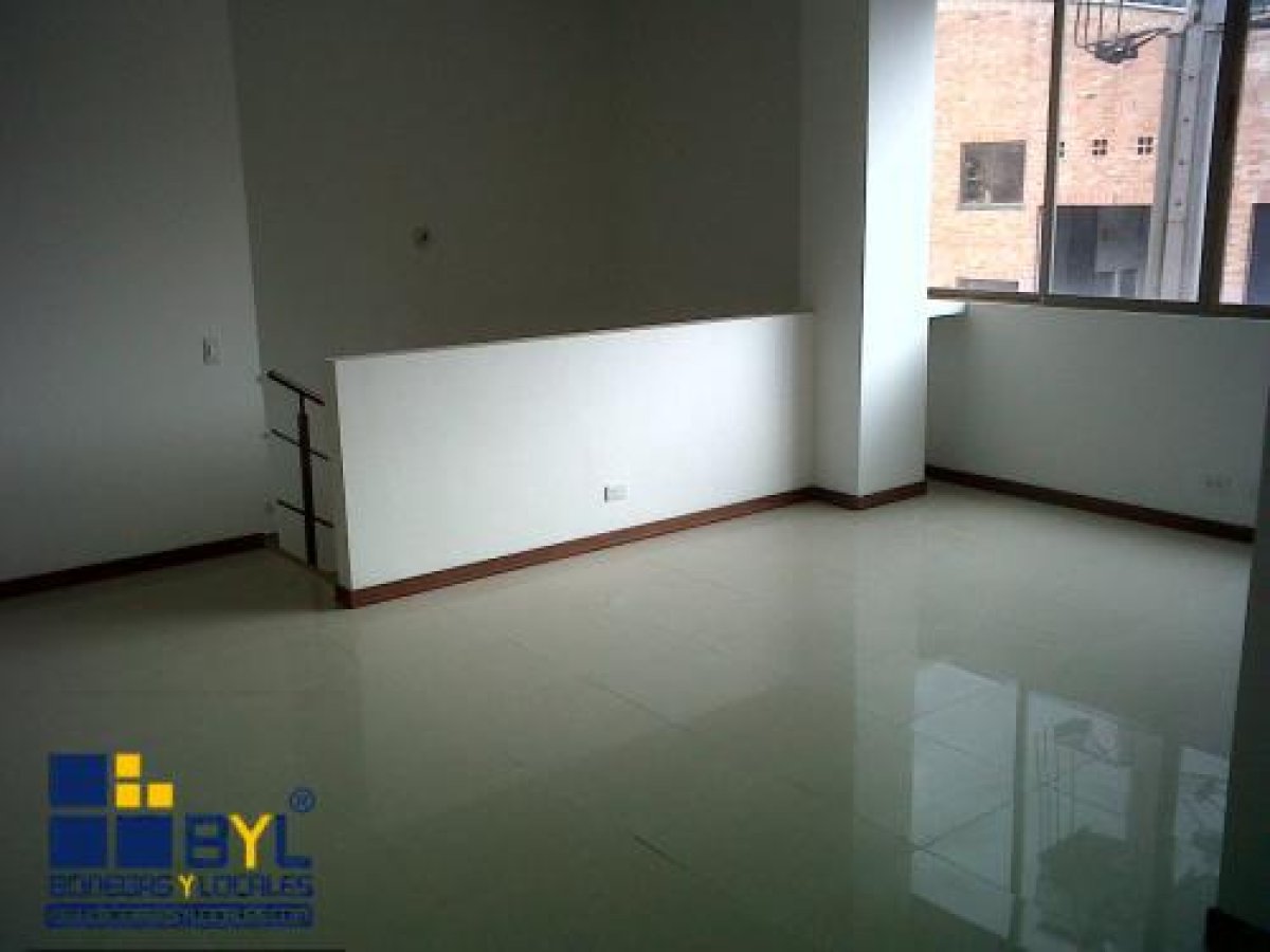 Bodega - Foto 12