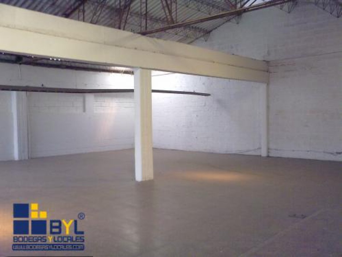 Bodega - Foto 3