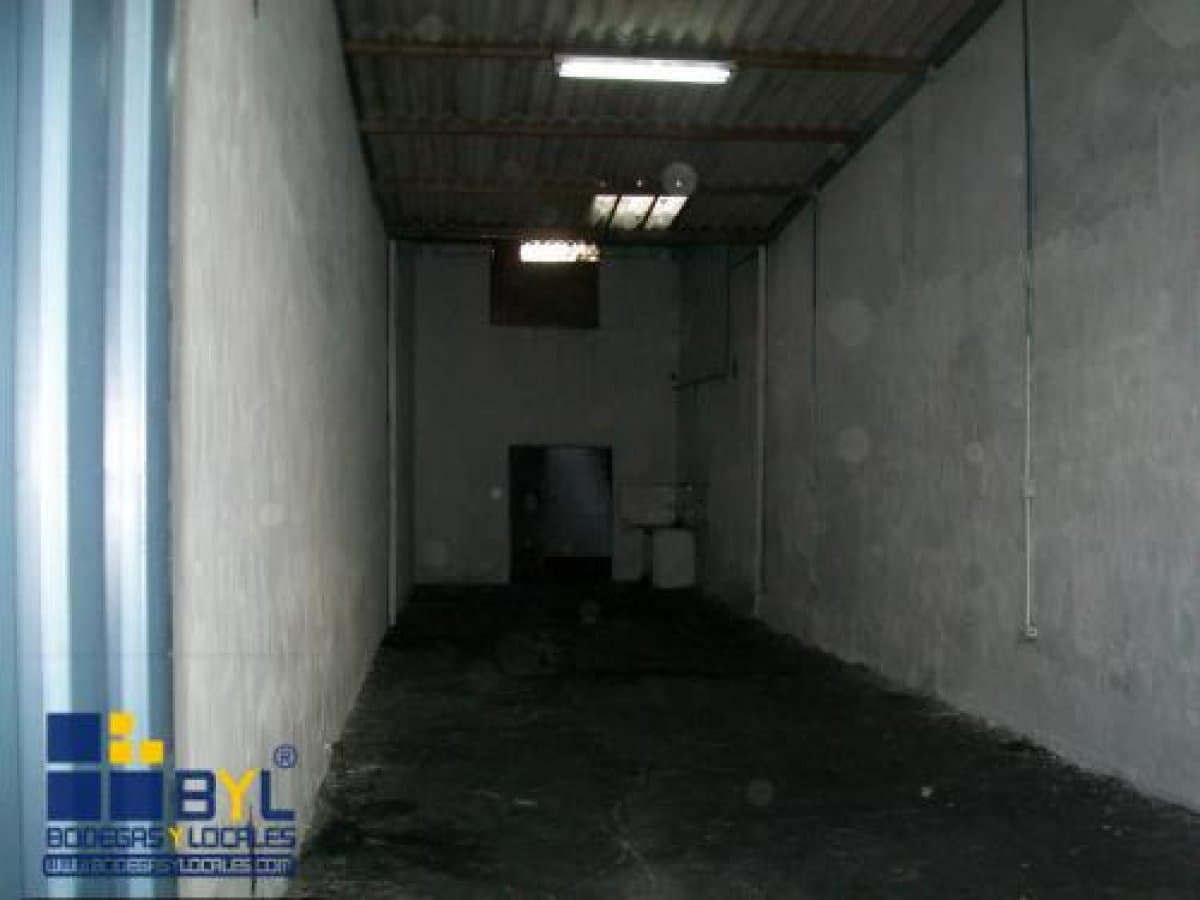 Bodega - Foto 3